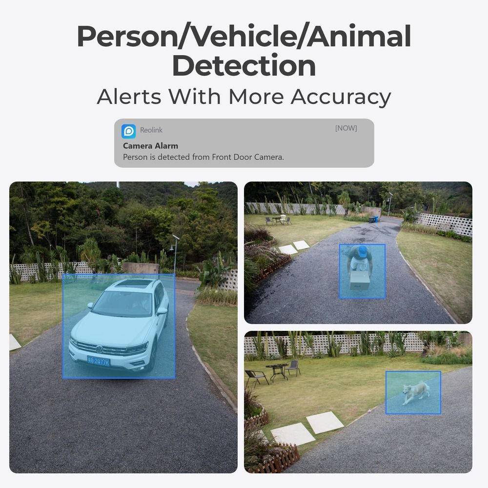 Reolink P320-W