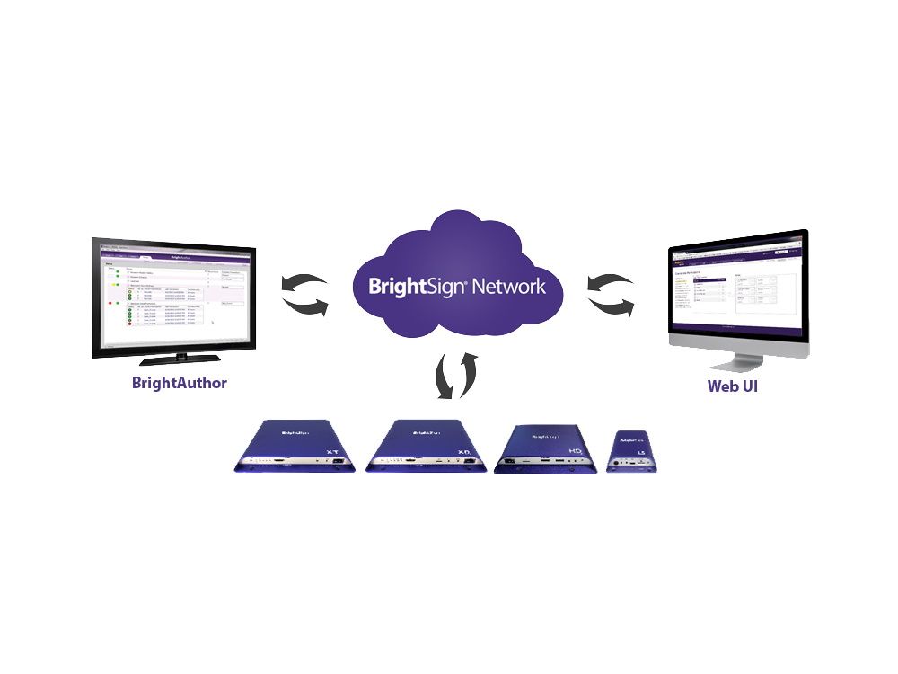 BrightSign Network Access 3 jaar