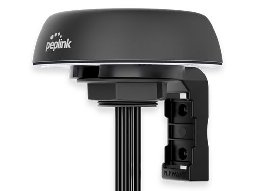 Peplink Mobility 22G Antenne
