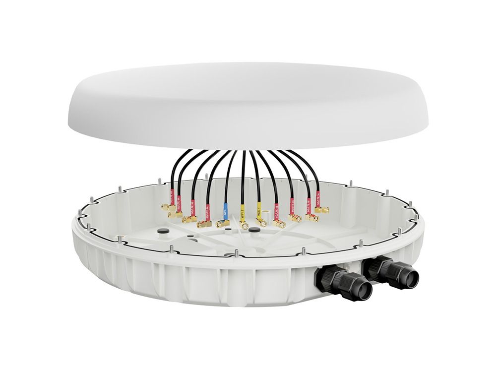 Peplink Antenna MAX Duo
