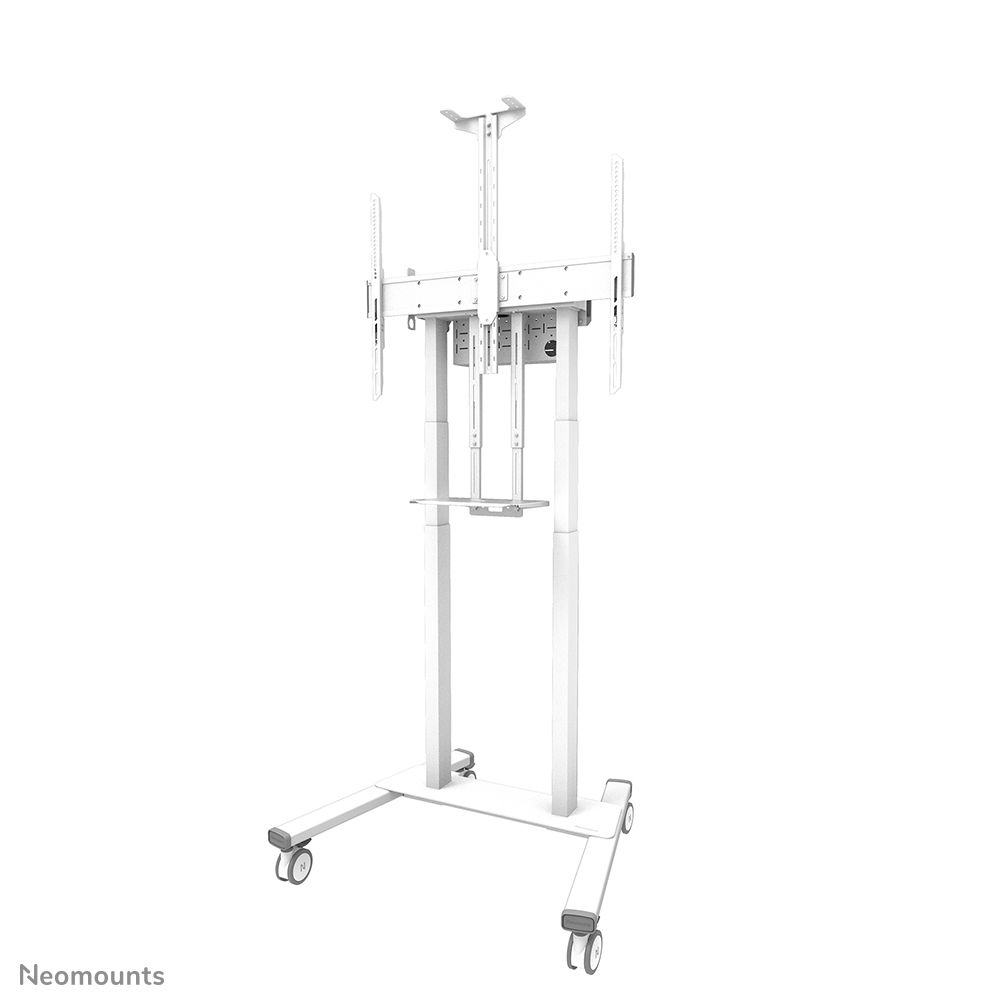 Neomounts FL55-875WH1