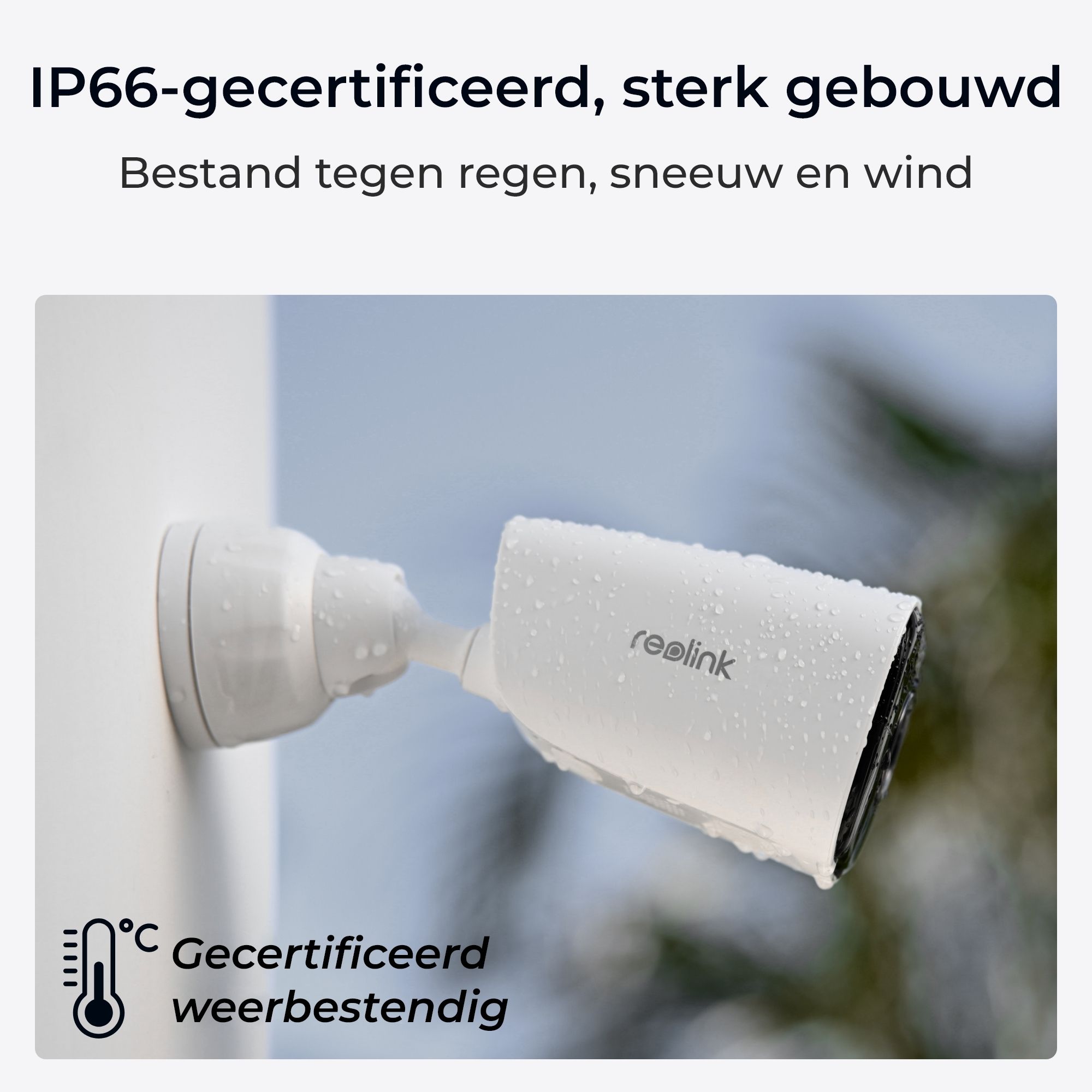 Reolink B340