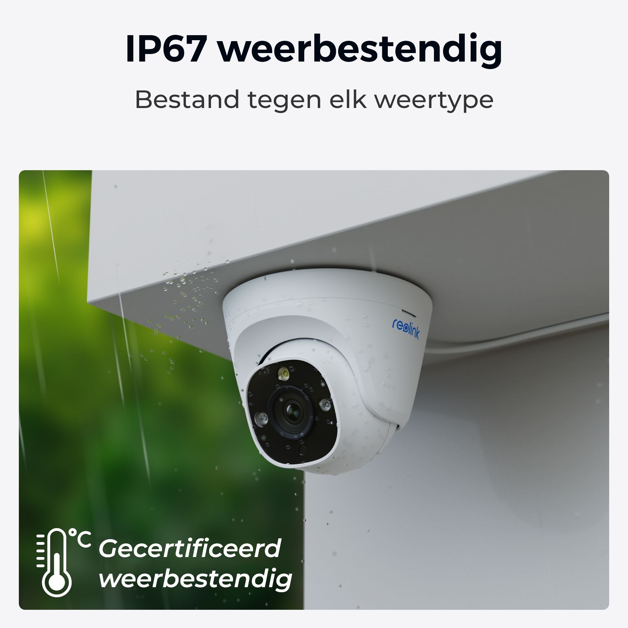Reolink P344-W