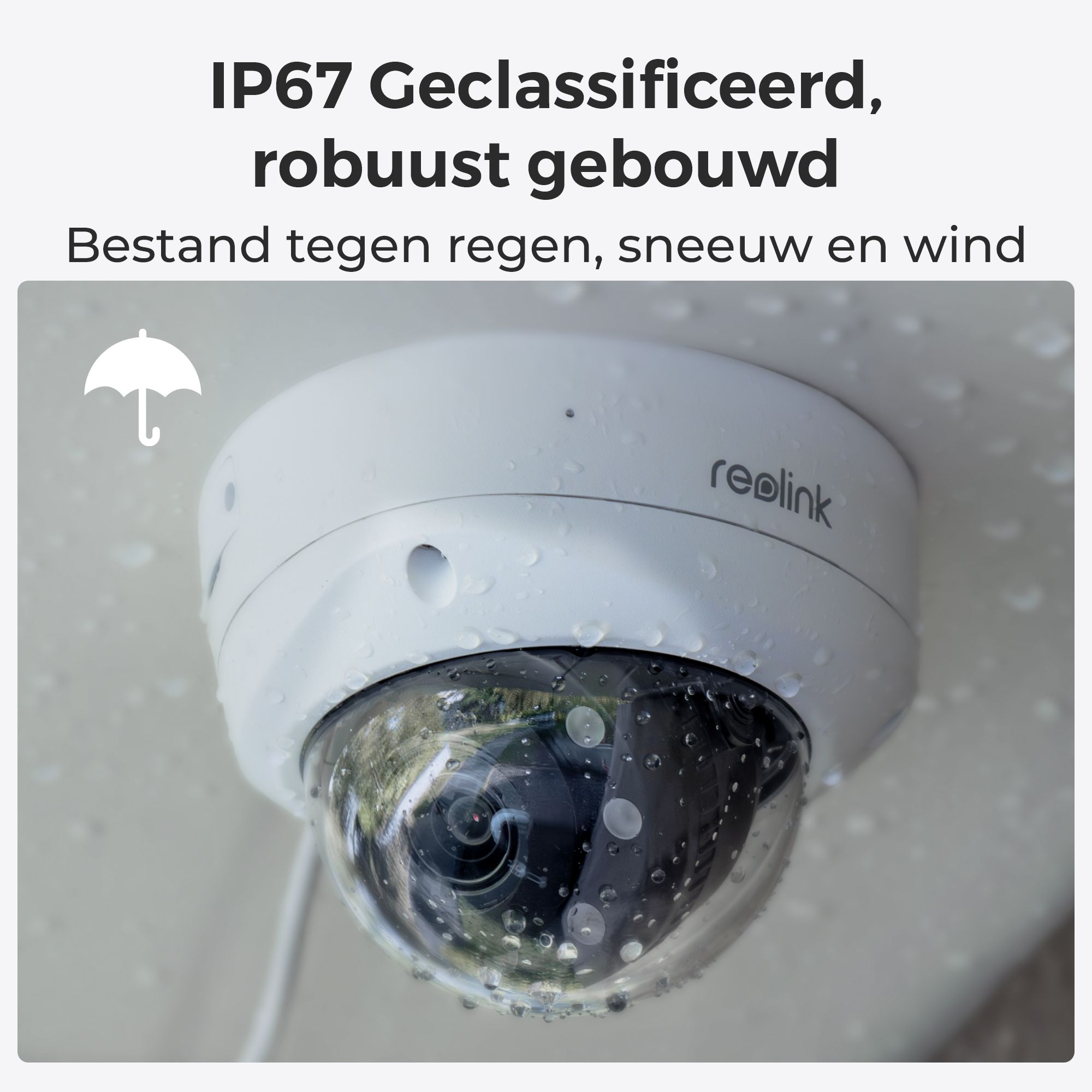 Reolink P437-W