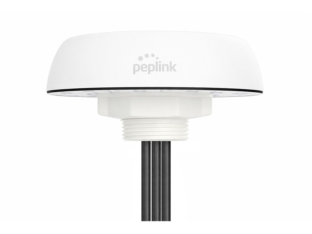 peplink