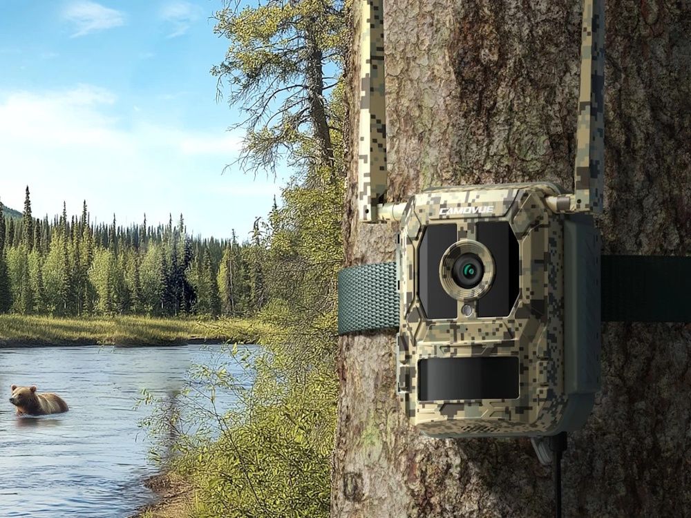 De Reolink S130 wildcamera hangt aan een boomstam in een bos en flimt een beer