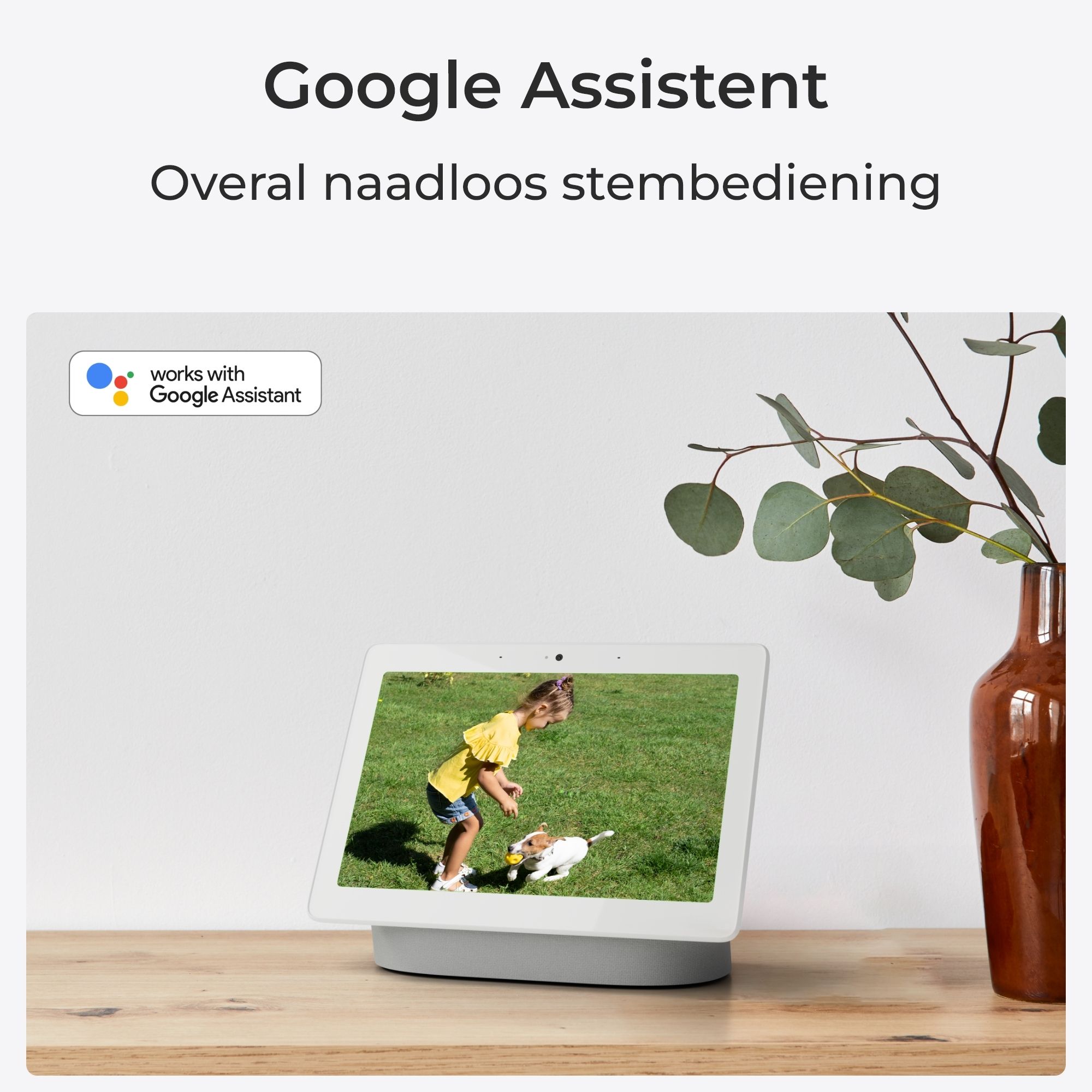 De Reolink Argus B320 is te bedienen via Google Assistent