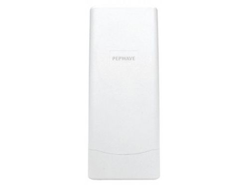 Pepwave AP One Flex Outdoor