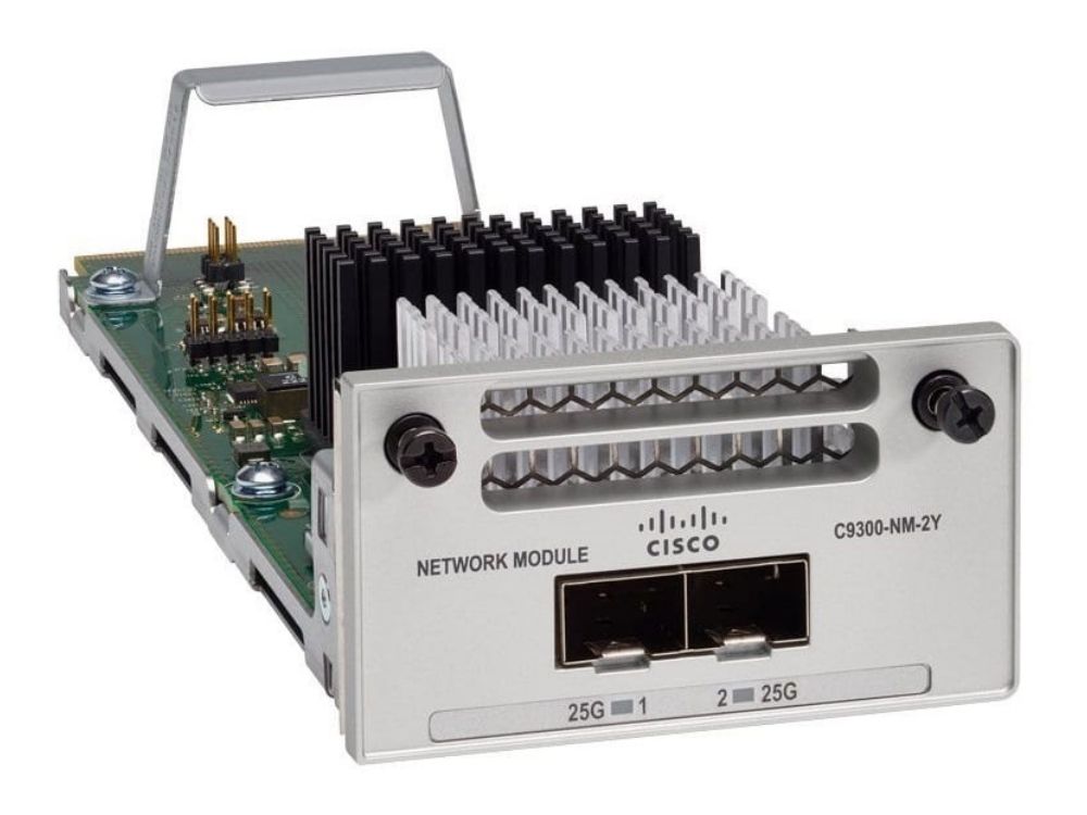 Cisco Catalyst C9300-NM-2Y=